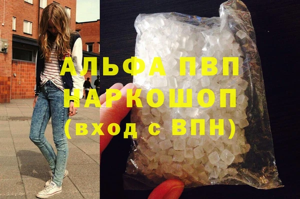 спиды Богородицк