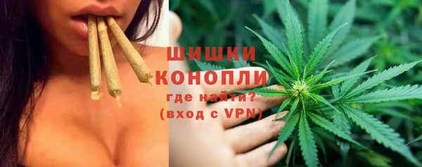 спиды Богородицк