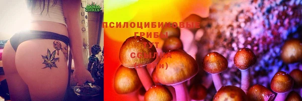 Альфа ПВП Богданович