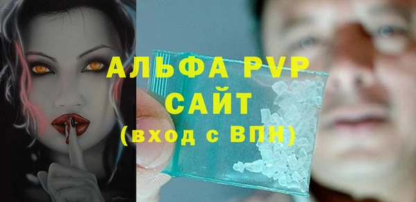 спиды Богородицк