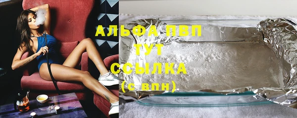 спиды Богородицк