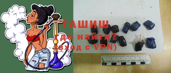спиды Богородицк