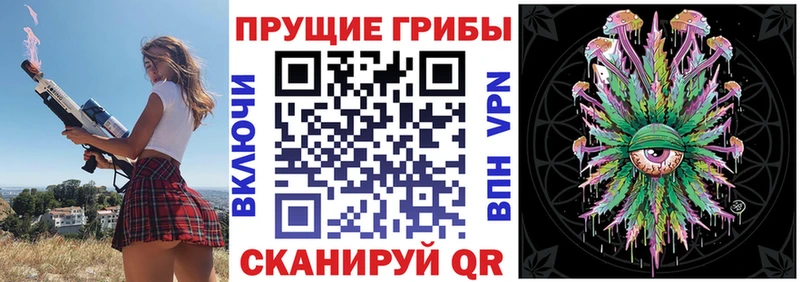 Купить где  Кировград  Псилоцибиновые грибы Cubensis 